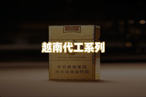 越南代工系列